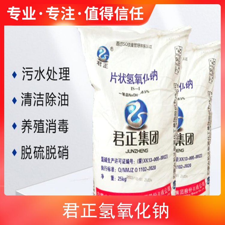 骚B看片